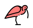 Ibis icon