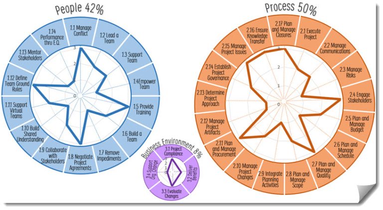 Radar Charts