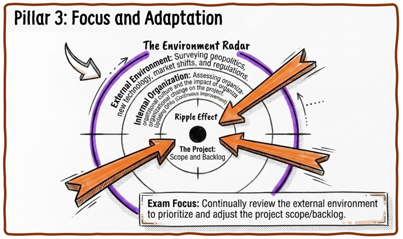 Business Environment Pillar 3 Focus and Adaptation